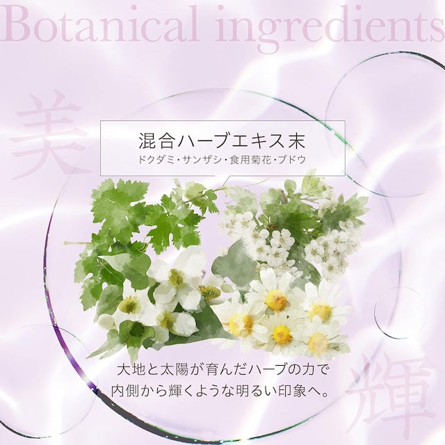 AXXZIA エイジーセオリー AGドリンクX 250mL(25mL×10本)
