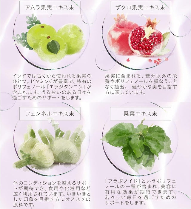 AXXZIA エイジーセオリー AGドリンクX 250mL(25mL×10本)