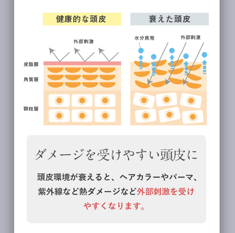 ブラッククリスタル シャンプー詰め替え