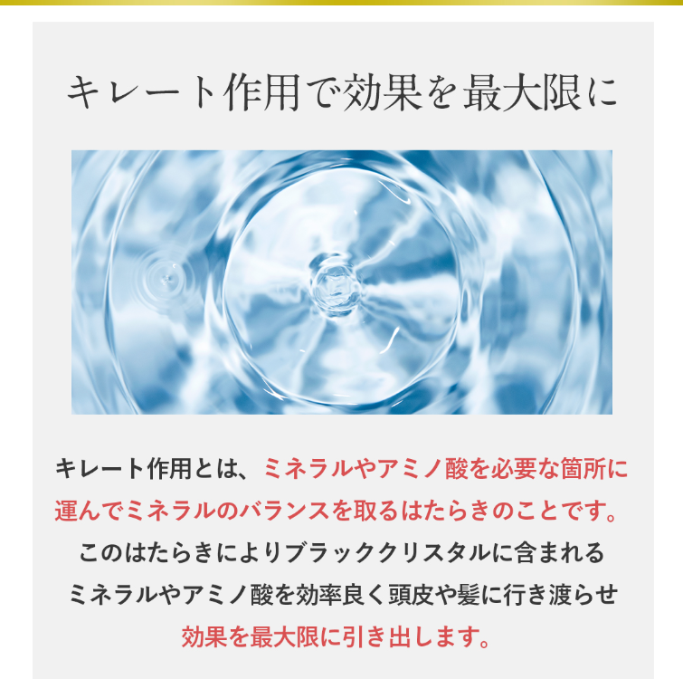 みいこまーす ブラッククリスタル シャンプー詰め替え