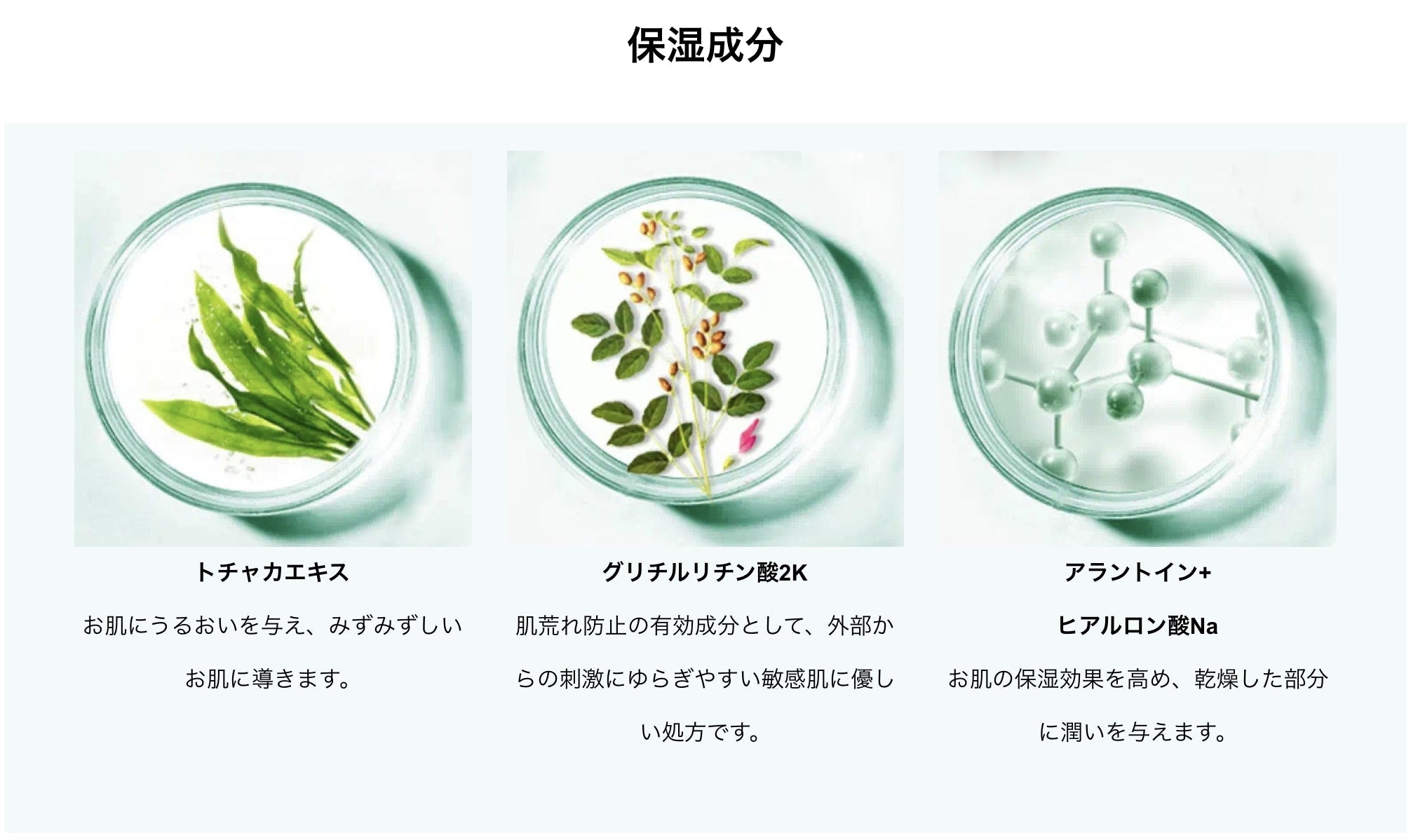 みいこまーす DR PLANT CICAモイストスムーズマスク