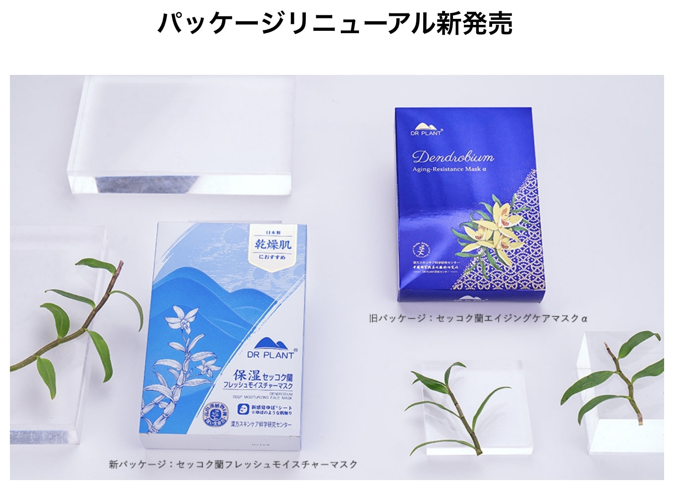 DR PLANT セッコク蘭フレッシュモイスチャーマスク